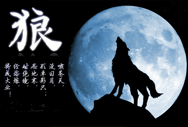 创业成功的故事对你的启示_有讨论意义的创业成功故事_意义讨论创业故事成功有哪些