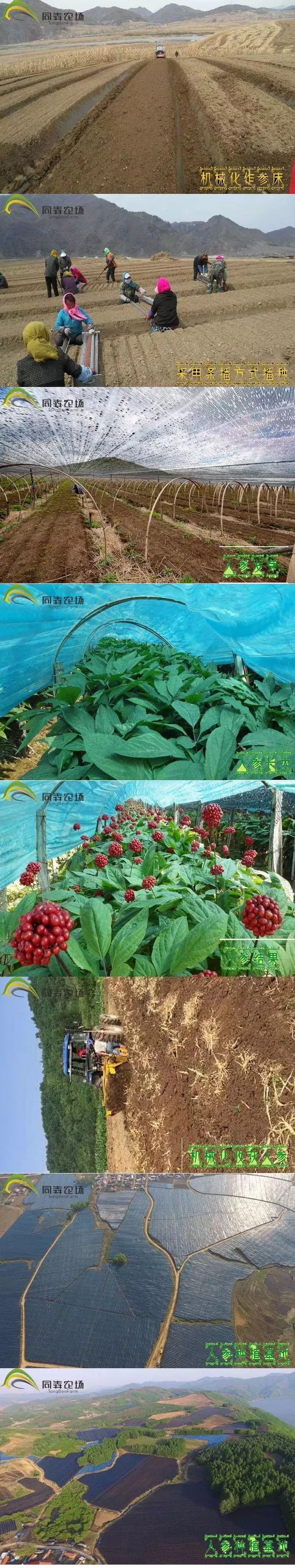 营养健身韩国品牌推荐_营养健身韩国品牌有哪些_韩国健身营养品