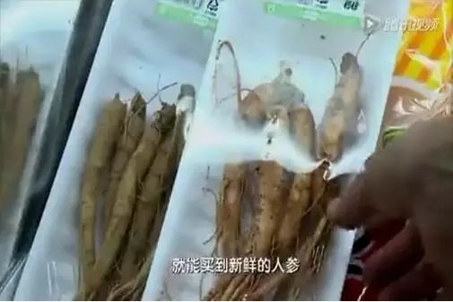 营养健身韩国品牌推荐_营养健身韩国品牌有哪些_韩国健身营养品