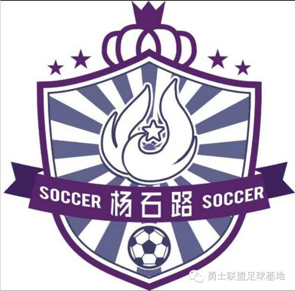 欧洲杯买足球规则是什么样的_欧洲杯购买规则_足球欧洲杯购买