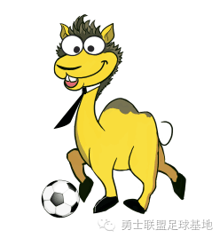 足球欧洲杯购买_欧洲杯买足球规则是什么样的_欧洲杯购买规则