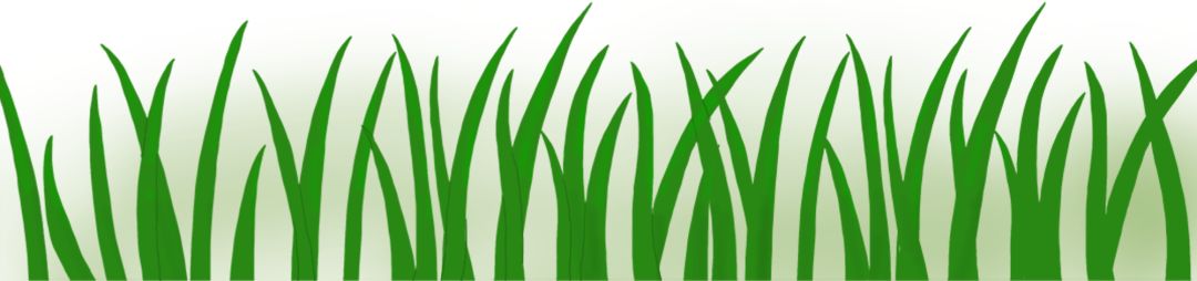 踢足球冠军全国世界是第几名_世界踢足球全国冠军是_踢足球冠军全国世界是多少名