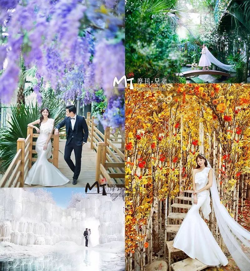 实景婚纱照影棚打造效果图_婚纱影棚实景装修_婚纱影棚装修效果图大全
