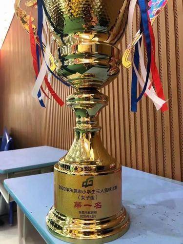 罗庄小学篮球赛冠军_济南市初中篮球比赛冠军_金乡县中小学生篮球比赛