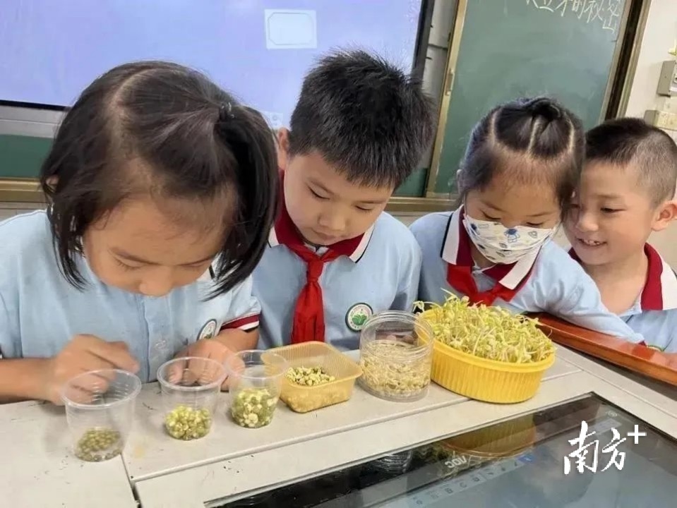 东莞篮球冠军之夜庆典_东莞市篮球联赛冠军_东莞市学生篮球比赛冠军