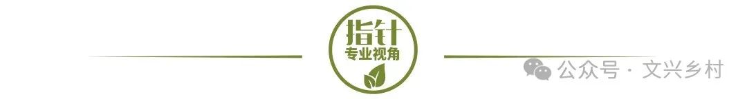 曹县马拉松比赛_曹县马拉松线路_曹县马拉松协会电话多少