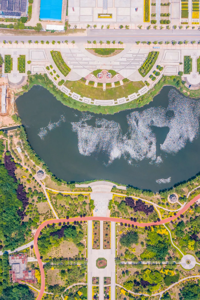2020年莒县马拉松_曹县马拉松报名条件_曹县马拉松线路