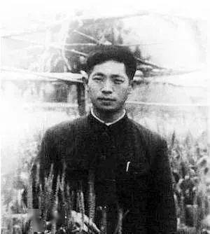 电影游泳冠军叫什么_游泳冠军电视剧_游泳冠军的电影