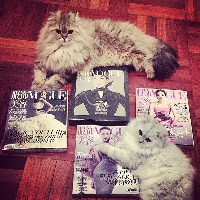 黑色和粉色婚纱_黑色个性粉色婚纱照搭配_粉色婚纱照好不好