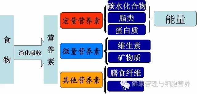 亚健康医院主要治什么病_亚健康医院能查出来吗_医院如何诊断亚健康