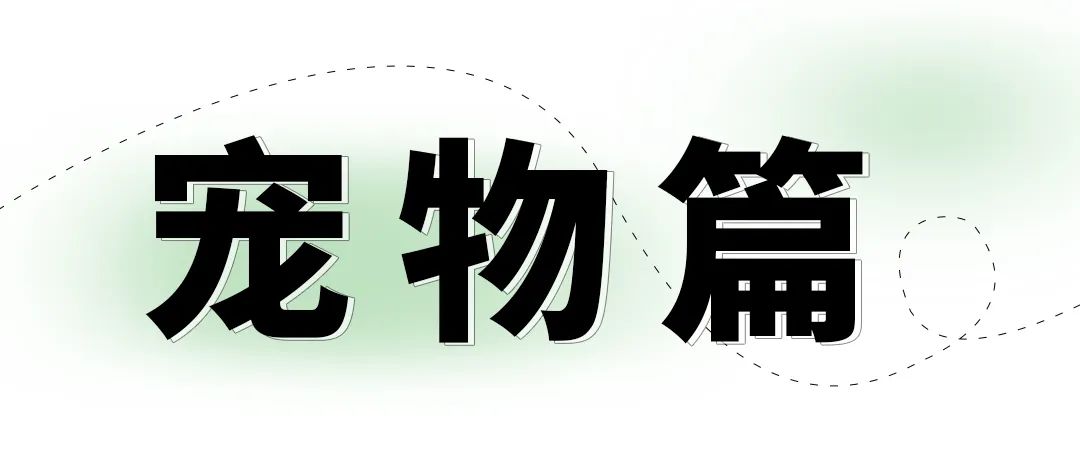 上海市家庭防疫健康公约内容_上海家庭防疫日常_上海疫情居家观察规定