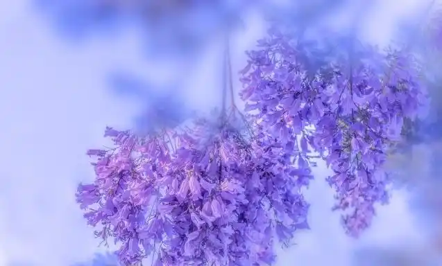 半路夫妻如何相处会幸福_半路夫妻相处的十原则_相处半路夫妻幸福会幸福吗