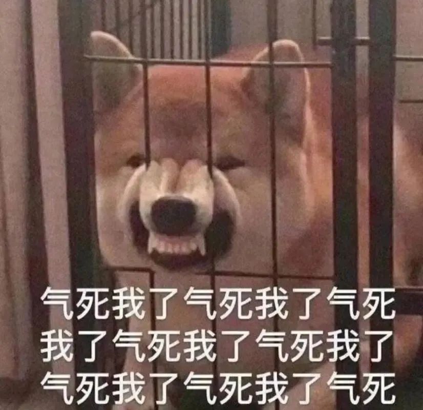 牙齿不好看婚纱照表情管理_拍婚纱照牙齿太丑怎么办_婚纱照牙齿不好看会给修嘛