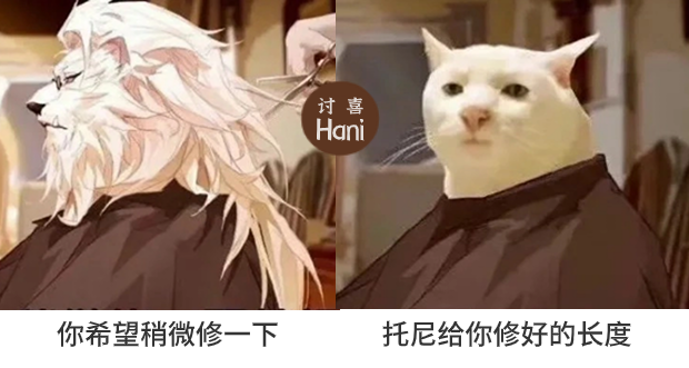 婚纱照牙齿不好看会给修嘛_拍婚纱照牙齿太丑怎么办_牙齿不好看婚纱照表情管理