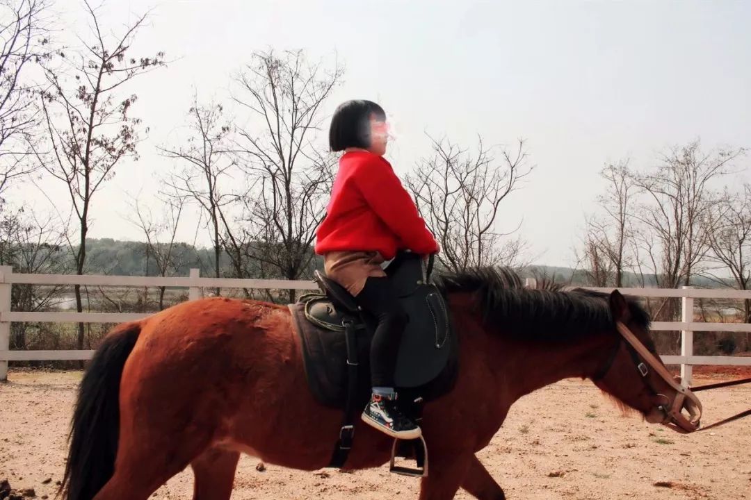 单人婚纱照的意义_婚纱照单人类型有哪些风格_婚纱单人照类型风格有什么
