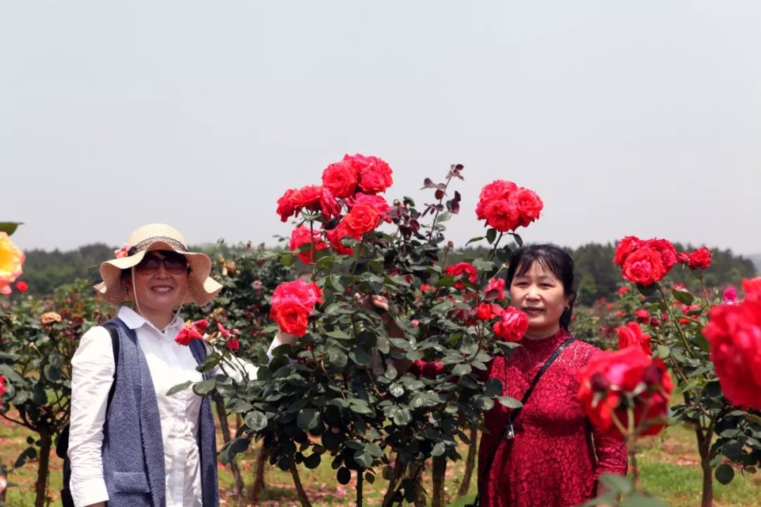 单人婚纱照的意义_婚纱照单人类型有哪些风格_婚纱单人照类型风格有什么