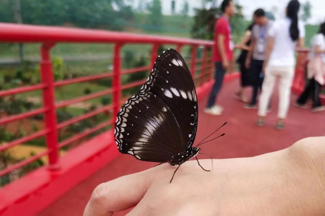 单人婚纱照的意义_婚纱照单人类型有哪些风格_婚纱单人照类型风格有什么