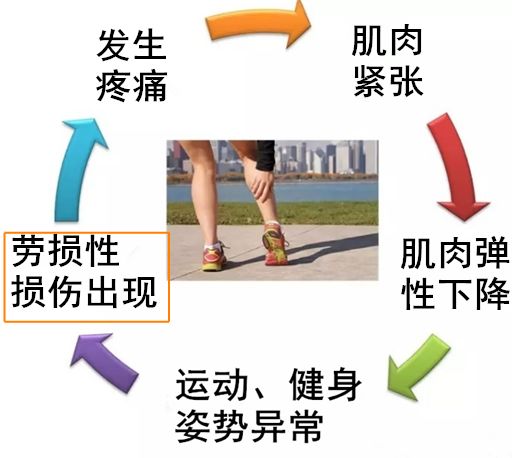 健身房运动后拉伸动作_健身后拉伸放松_健身房后如何拉伸运动