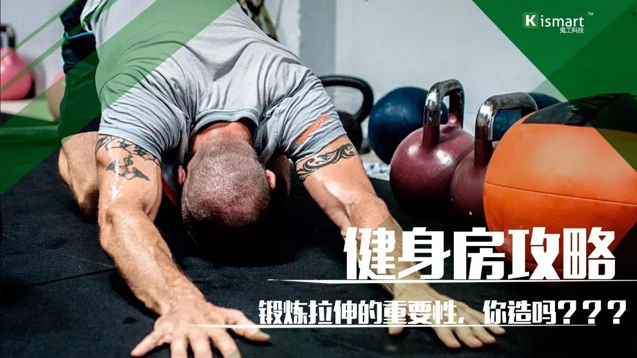 健身前后拉伸的重要性：为何每次健身都应包含动态与静态拉伸？