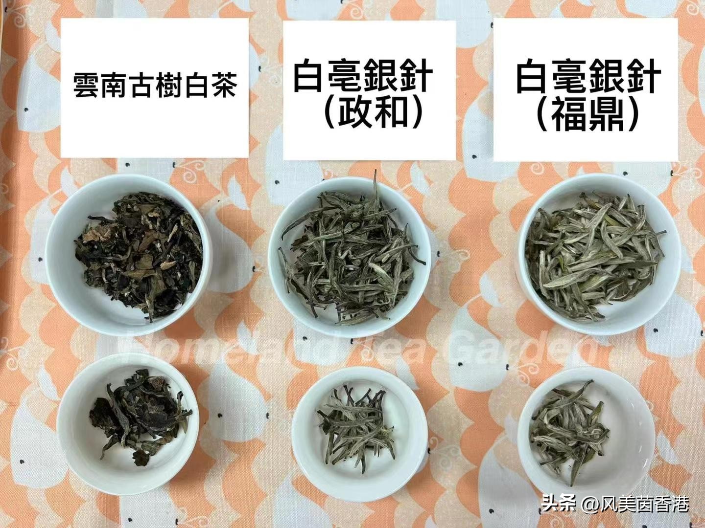 立冬节气中医心身养生法：冬季进补与阴阳平
