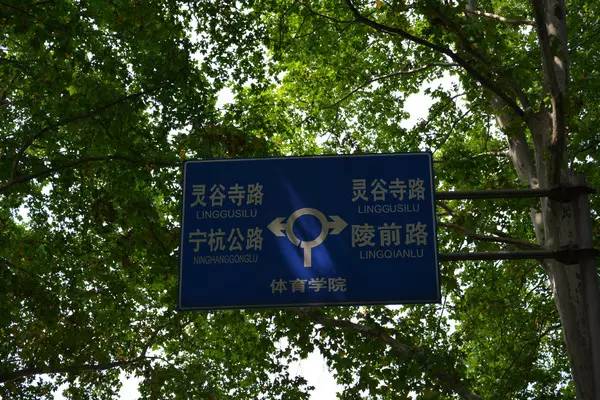 巴赫击剑_巴赫冠军_巴赫是击剑冠军吗为什么
