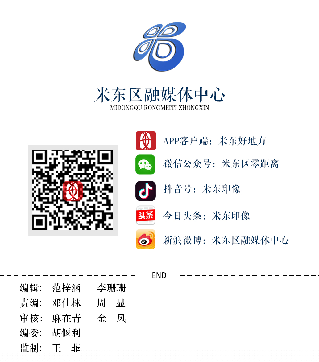 激励的篮球比赛_篮球赛获得冠军内心的激动_篮球激动人心时刻