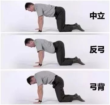 举重高翻技巧_举重高翻_举重高翻是什么意思