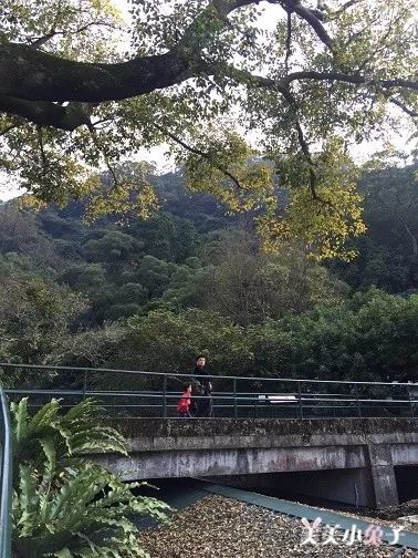 孙女跟奶奶拍艺术婚纱照_奶奶的婚纱照_奶奶拍婚纱照的说说