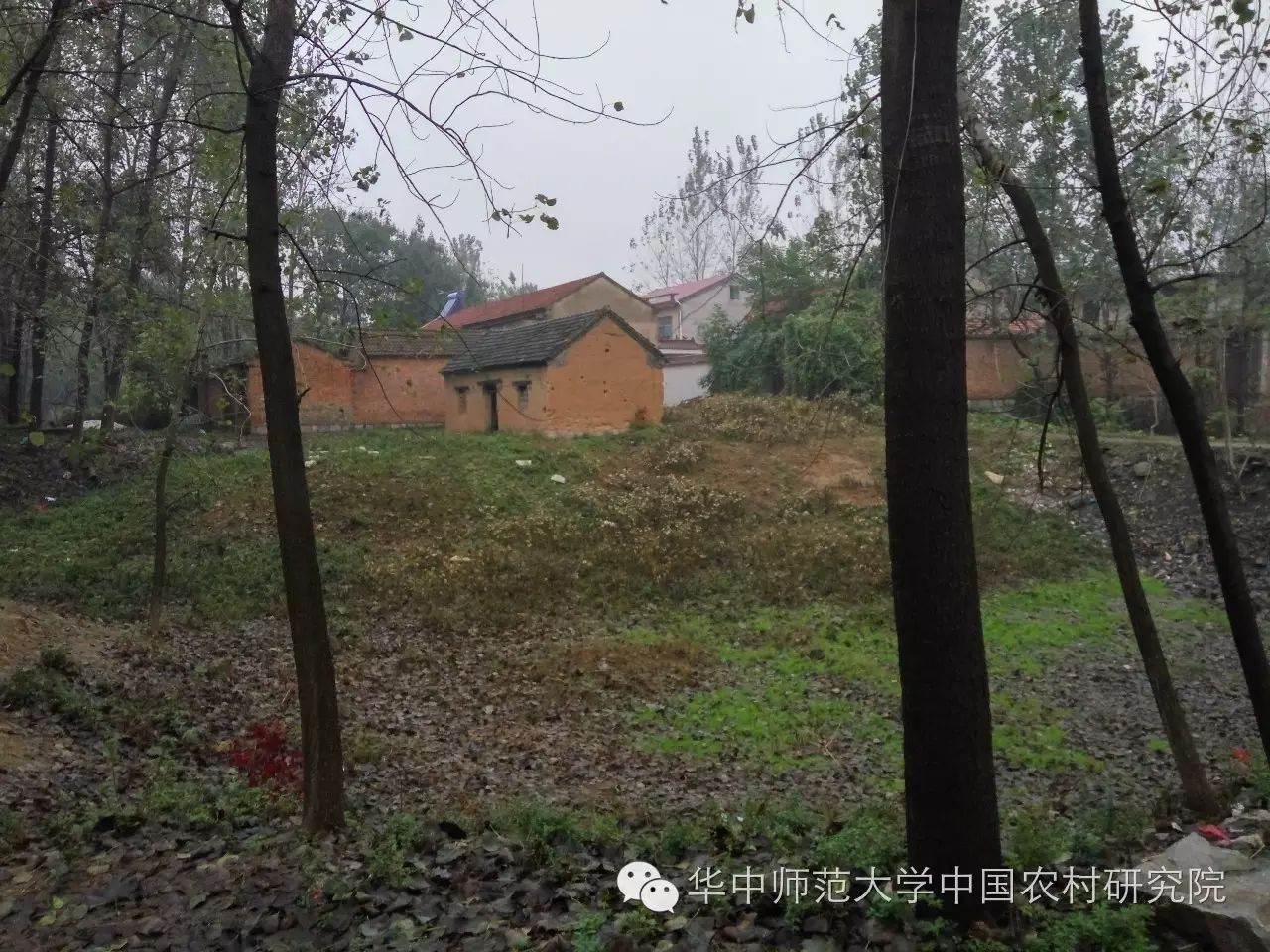 婚礼当天叫什么_婚礼当天仪式_无为婚礼当天的习俗