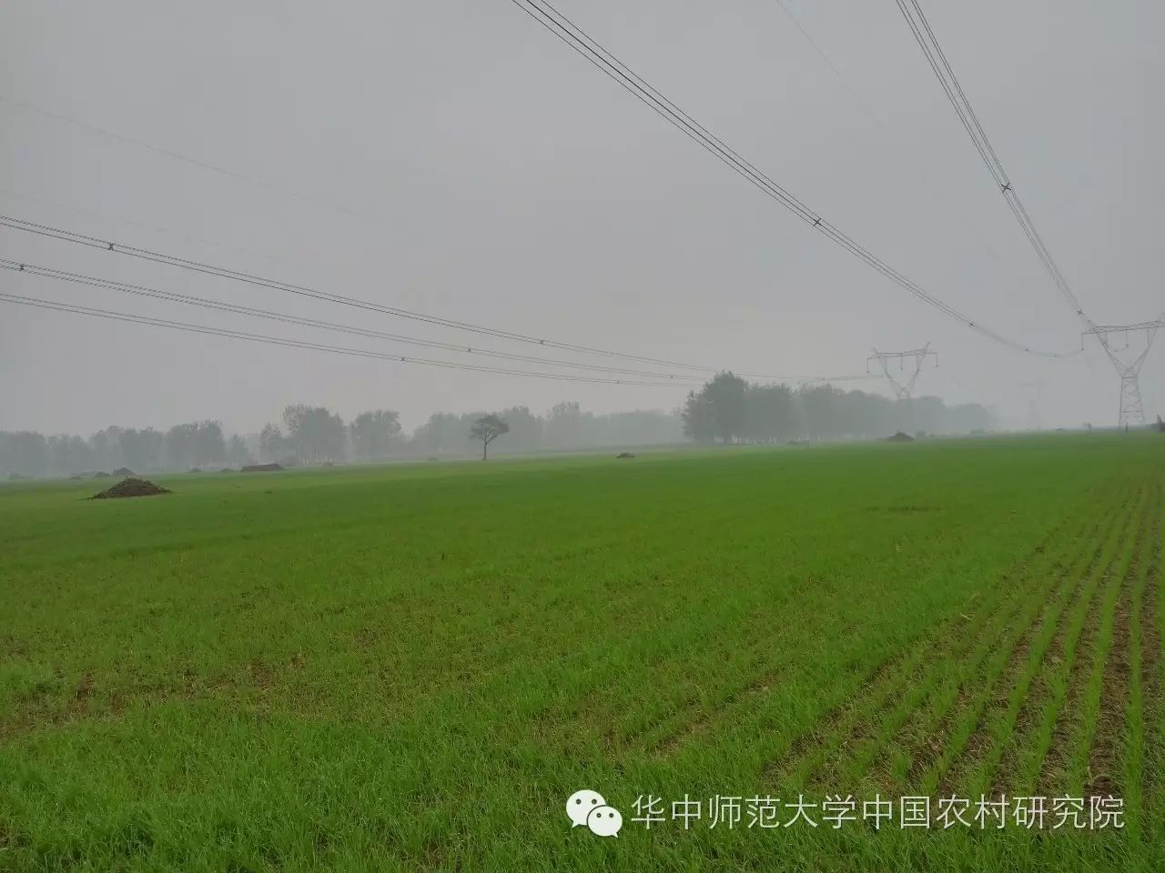 婚礼当天仪式_婚礼当天叫什么_无为婚礼当天的习俗