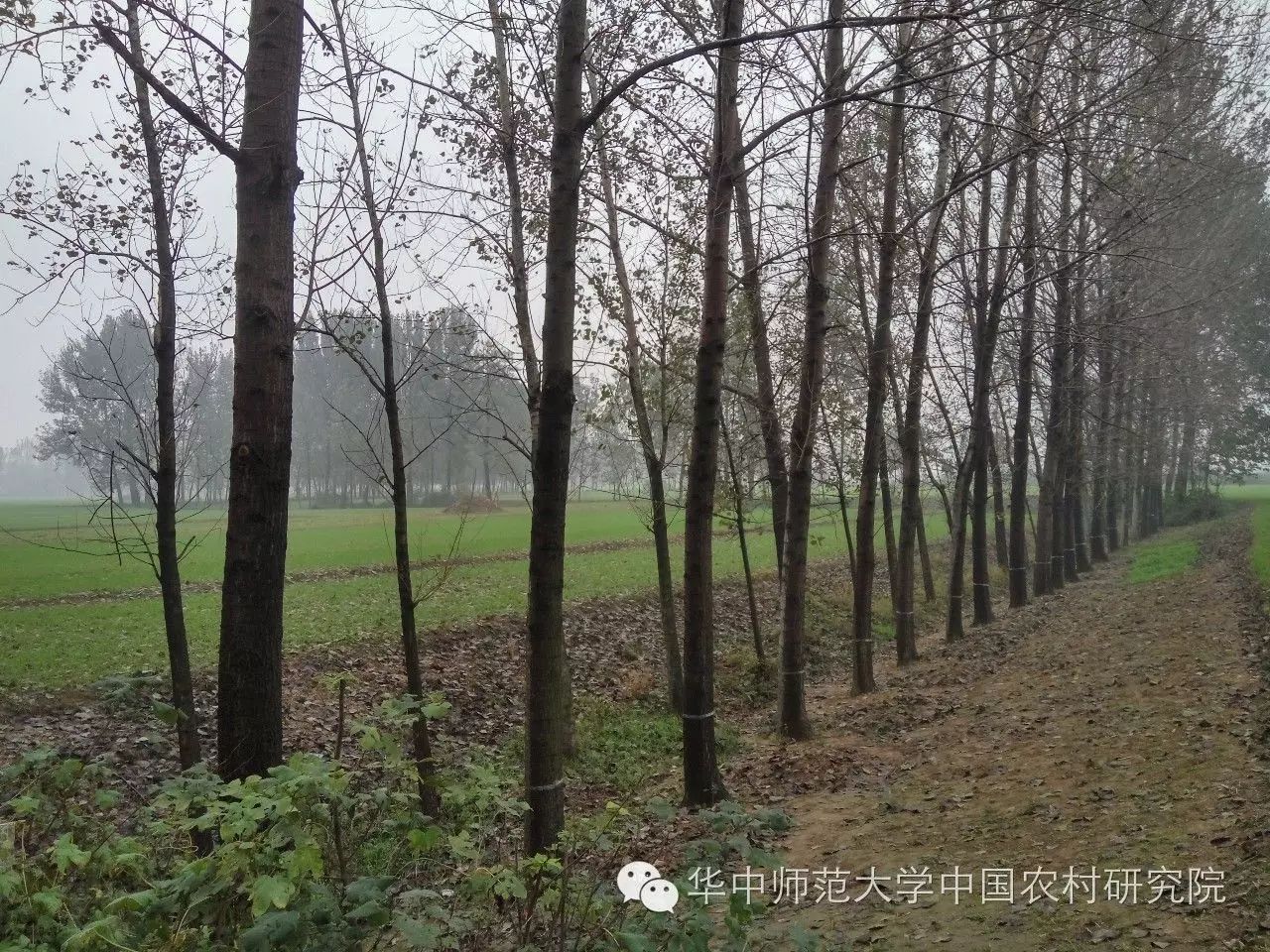 婚礼当天叫什么_婚礼当天仪式_无为婚礼当天的习俗