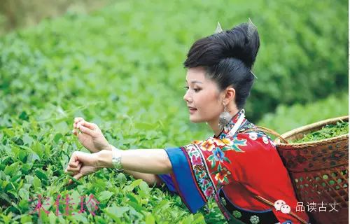 举重直播嘉宾_女嘉宾和举重冠军小说_嘉宾举重小说冠军女主是谁
