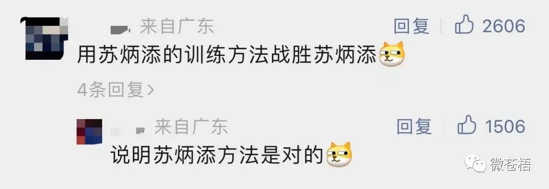 重庆游泳世锦赛冠军男_世锦赛游泳重庆冠军男子是谁_世锦赛游泳亚军