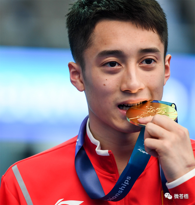 重庆游泳世锦赛冠军男_世锦赛游泳重庆冠军男子是谁_世锦赛游泳亚军