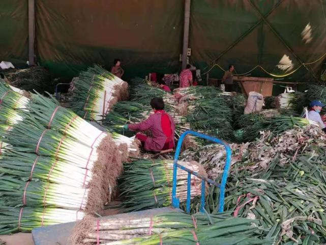 批发零售背景创业行业有哪些_批发零售行业创业背景_批发零售背景创业行业分析
