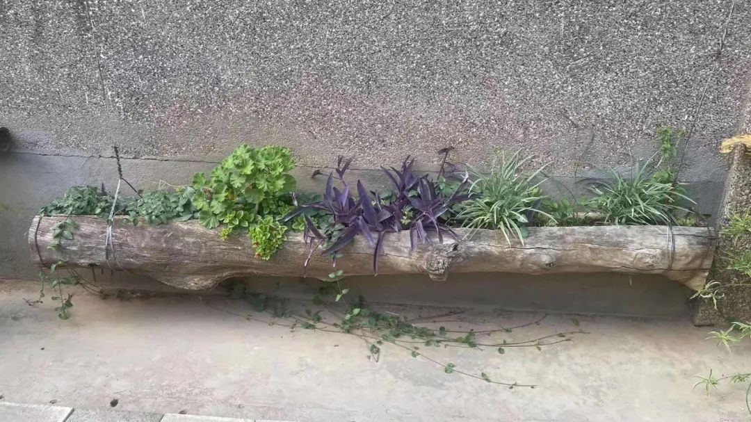 篮球群管理规则怎么写好_篮球队规则制度_管理篮球队的一些规则