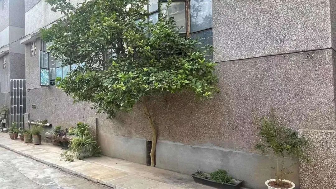 篮球队规则制度_篮球群管理规则怎么写好_管理篮球队的一些规则