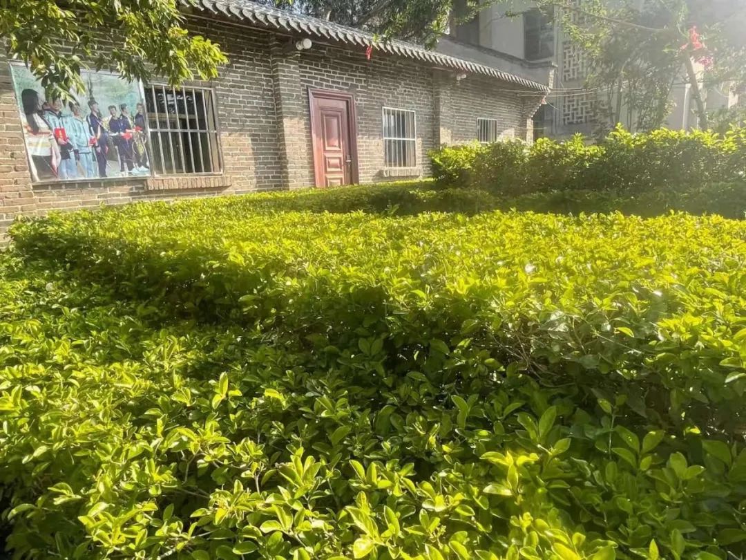 篮球队规则制度_篮球群管理规则怎么写好_管理篮球队的一些规则