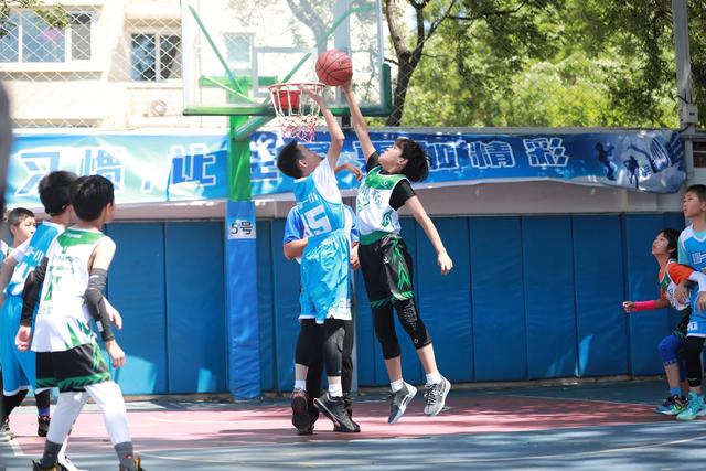2018小学生篮球比赛_2018小学生篮球冠军_全国小学生篮球联赛冠军