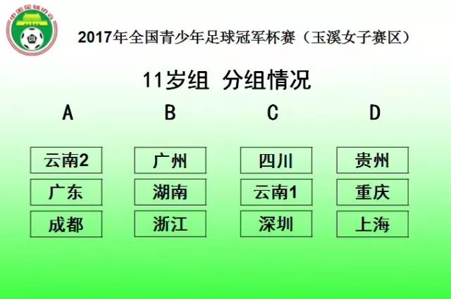 青少年足球冠军杯赛_中国青少年校园足球冠军杯_全国青少年足球赛冠军