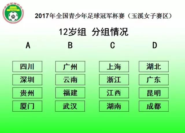 中国青少年校园足球冠军杯_青少年足球冠军杯赛_全国青少年足球赛冠军