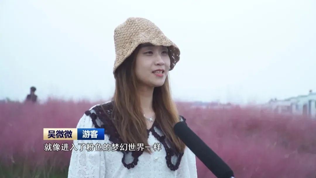 家庭保洁日常保洁_保洁服务家庭_旌德日常家庭保洁