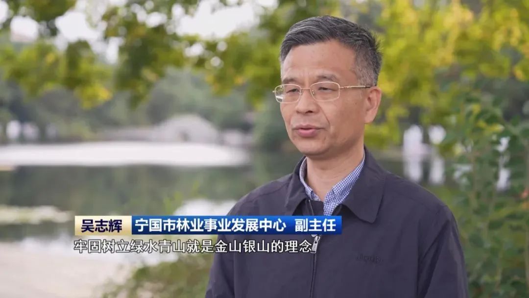 保洁服务家庭_家庭保洁日常保洁_旌德日常家庭保洁