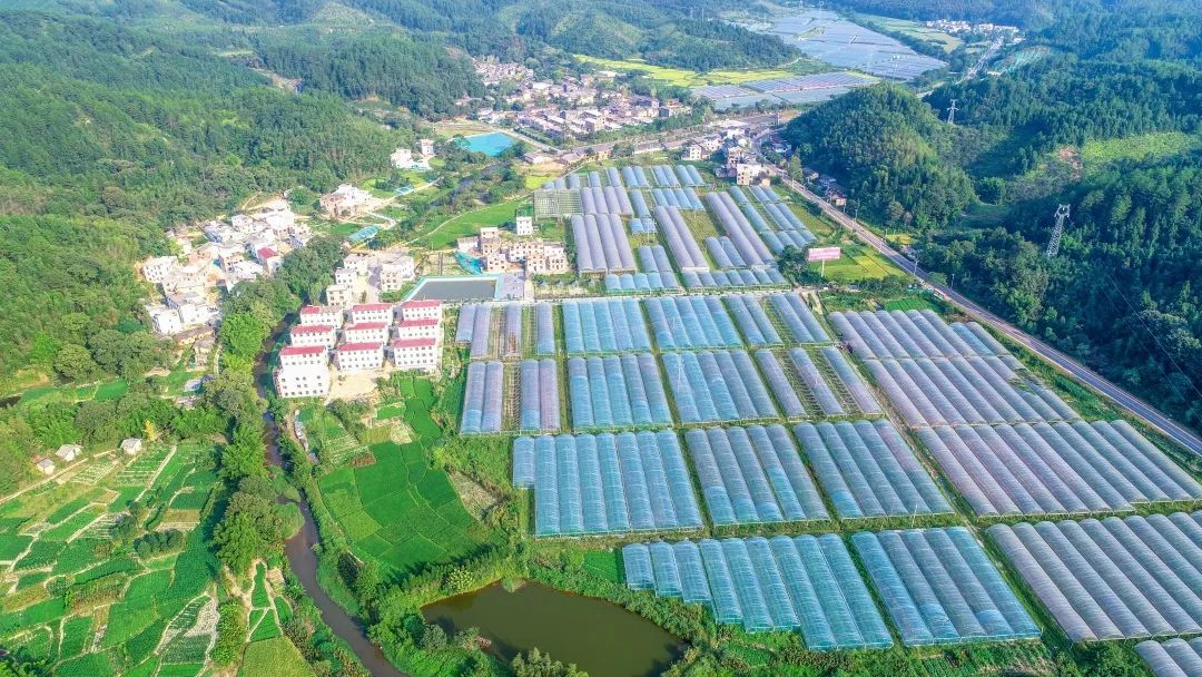 旌德日常家庭保洁_保洁家庭保洁_家庭保洁日常保洁