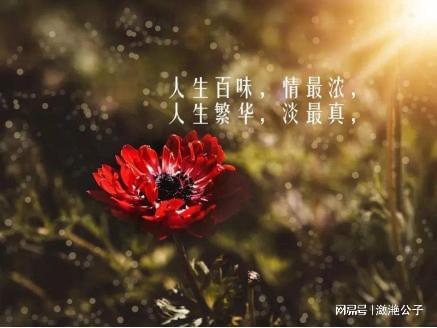 难相处夫妻好的句子_夫妻之间难相处_两夫妻相处好难