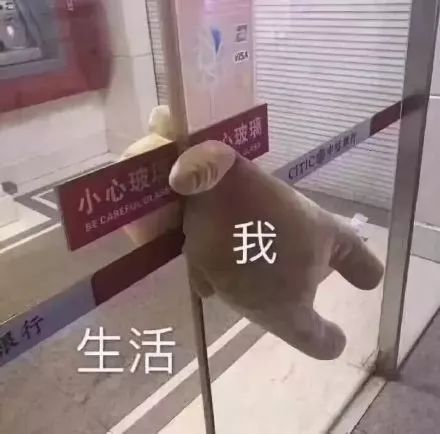 有氧运动女生_女人有氧运动后心情说说_清晨有氧运动女孩