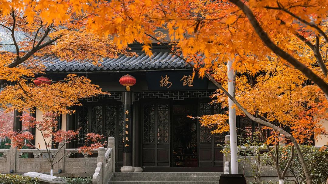篮球技术技巧_篮球技术如何进行教学_校运会篮球技巧与方法