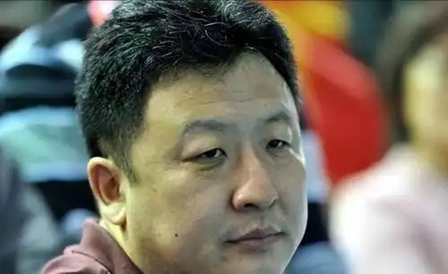 游泳运动员刘子歌图片_游泳冠军刘子歌照片_中国女子游泳名将刘子歌视频