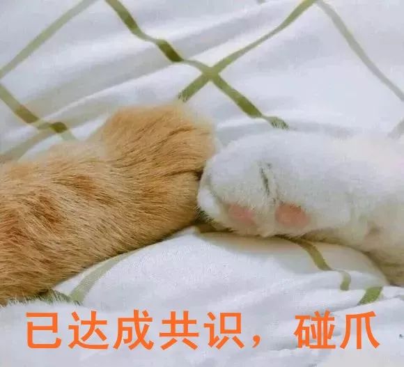 吵架的夫妻_夫妻吵架相处之道_夫妻吵架和睦相处