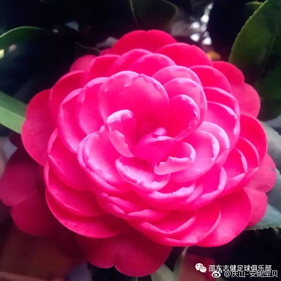 足球技巧学会月薪多少钱_如何在半个月学会足球技巧_足球技巧30招教学